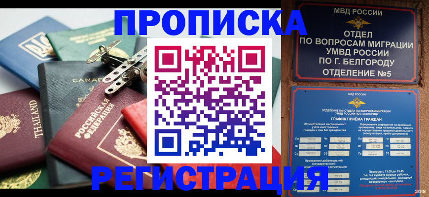 временная регистрация недорого в Череповце